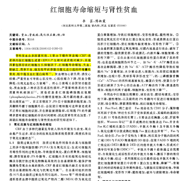红细胞寿命缩短与肾性贫血