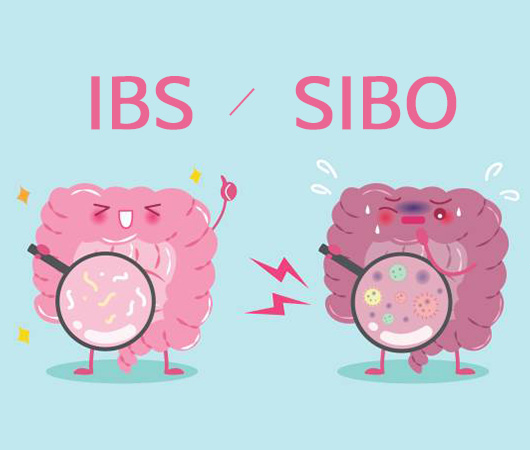 IBS&IBD&GERD&AG与SIBO文献检索报告