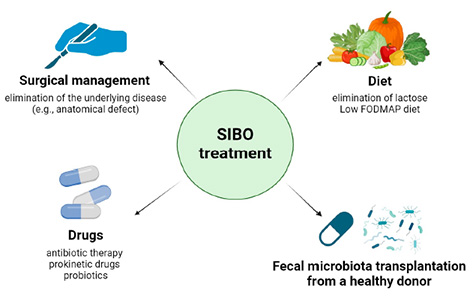 SIBO-12类病关系及治疗方案（台湾）
