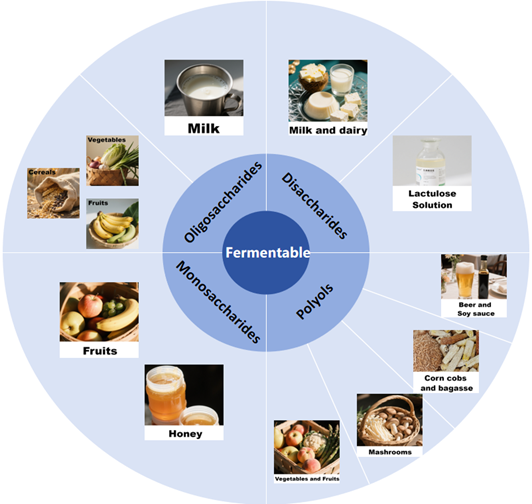 Understanding the Low FODMAP Diet: A Patient’s Guide to Managing Digestive Symptoms