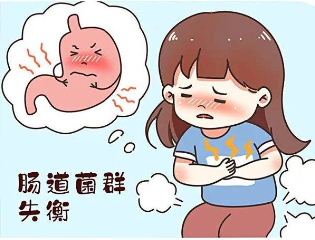 健康科普|腹胀腹泻反复发作？揭秘小肠细菌过生长的生活诱因与干预策略