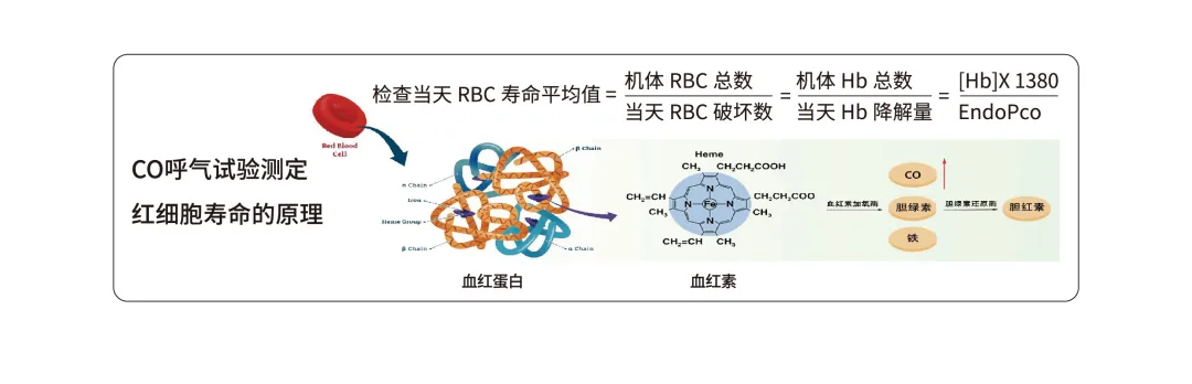 前沿论文|Levitt CO呼气试验对肝硬化患者的重度食管静脉曲张相关性分析